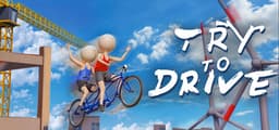 Try To Drive